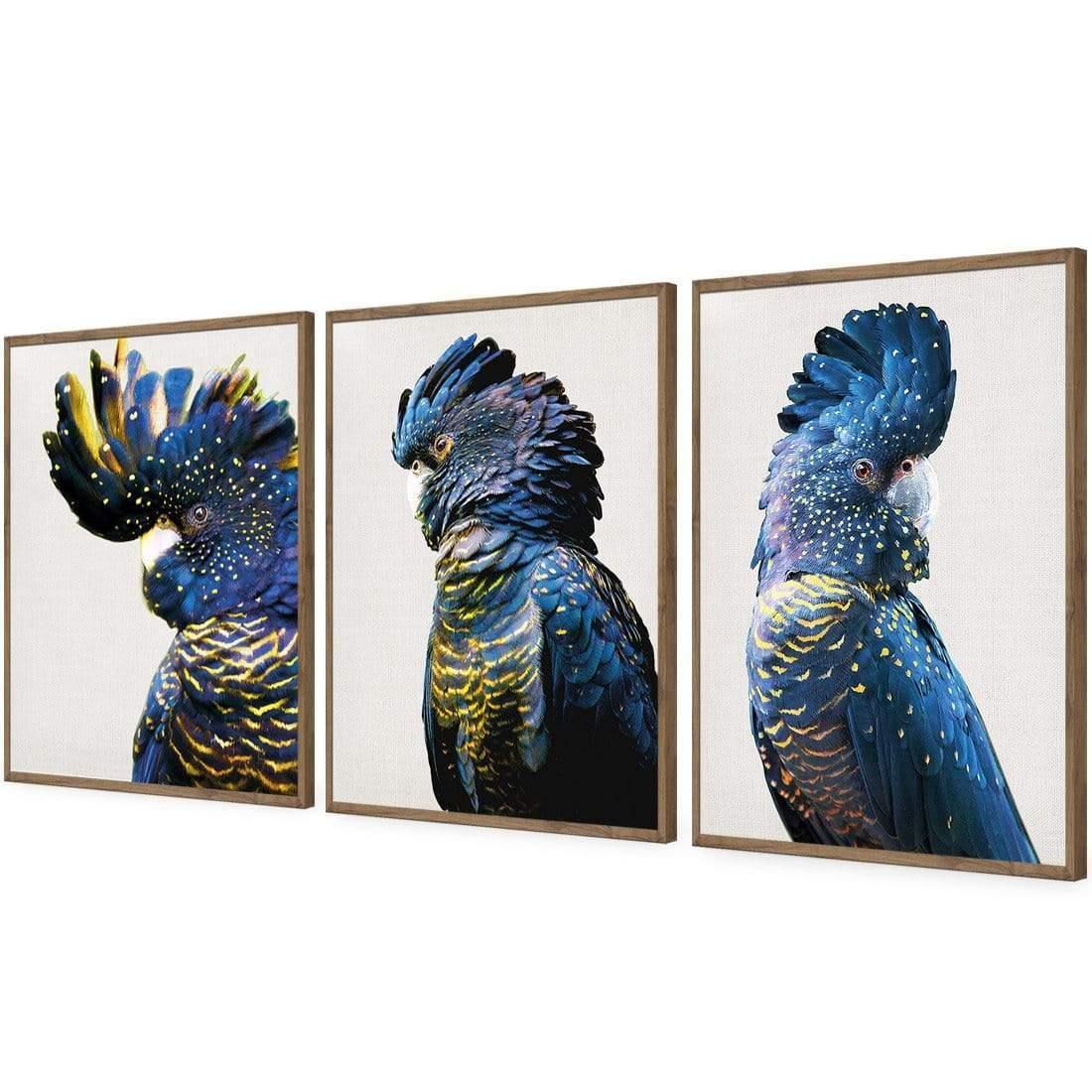 Cockatoos Trio Art Set - Wall Art Designs - SET3_5035_AR_V WAD_AP - 030 - EDG_59x40_S - 2538 - NAT