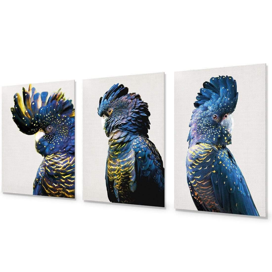 Cockatoos Trio Art Set - Wall Art Designs - SET3_5035_AR_V WAD_AP - 030 - EDG_59x40_NONE