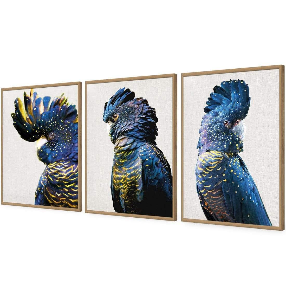 Cockatoos Trio Art Set - Wall Art Designs - SET3_5035_AR_V WAD_AP - 030 - EDG_59x40_S - 2538 - OAK