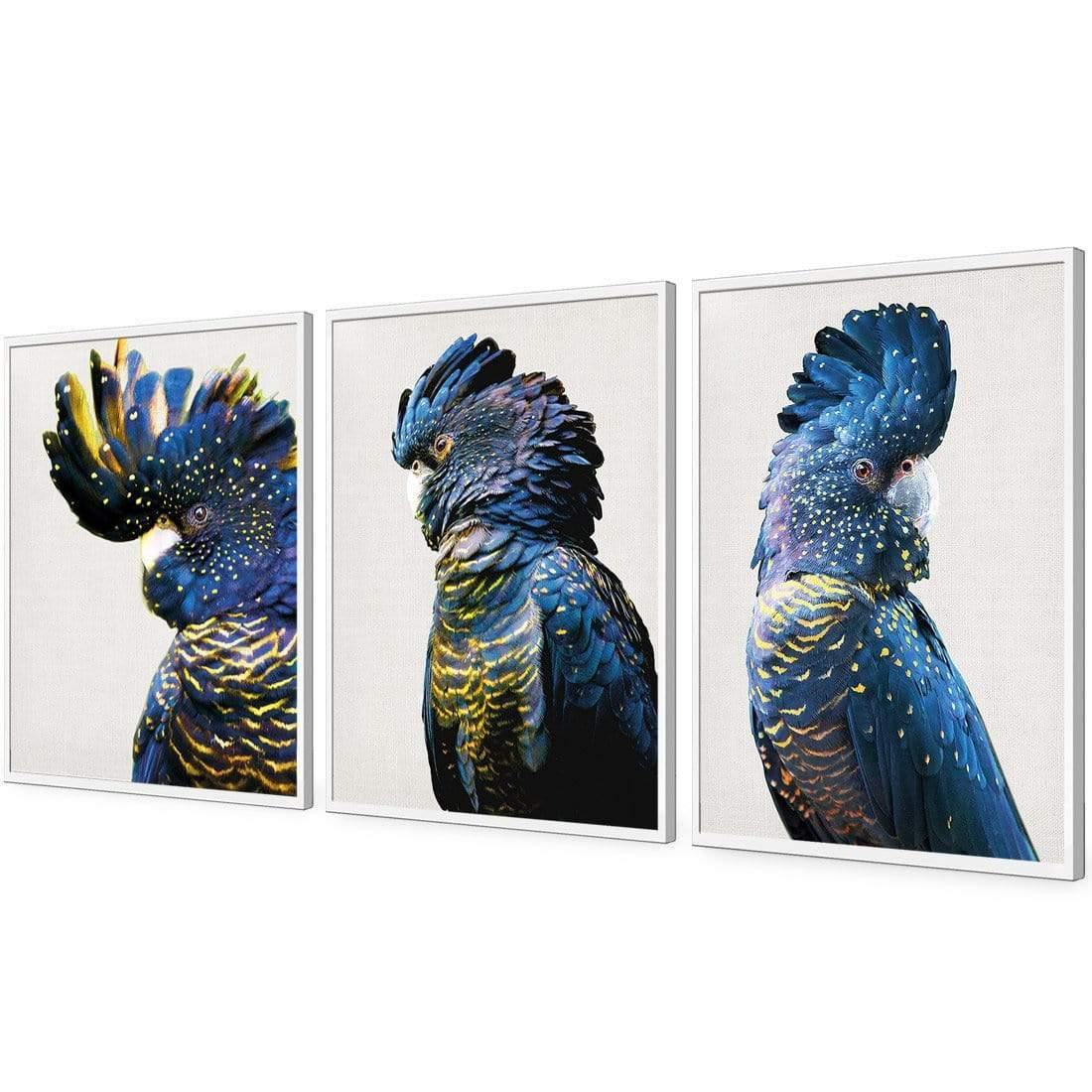 Cockatoos Trio Art Set - Wall Art Designs - SET3_5035_AR_V WAD_AP - 030 - EDG_59x40_S - 2538 - WHT