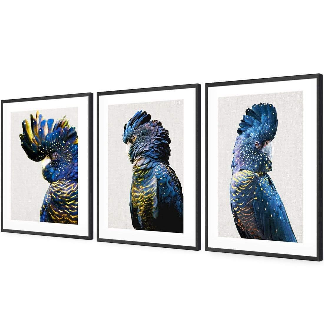 Cockatoos Trio Art Set - Wall Art Designs - SET3_5035_AR_V WAD_AP - 030 - MAT_59x40_S - 2538 - BLK