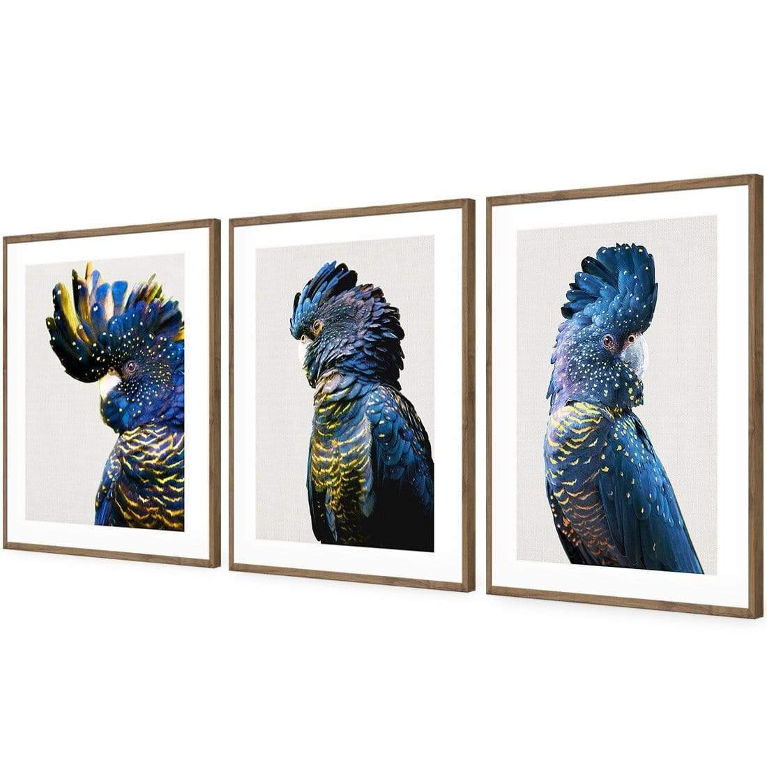 Cockatoos Trio Art Set - Wall Art Designs - SET3_5035_AR_V WAD_AP - 030 - MAT_59x40_S - 2538 - NAT