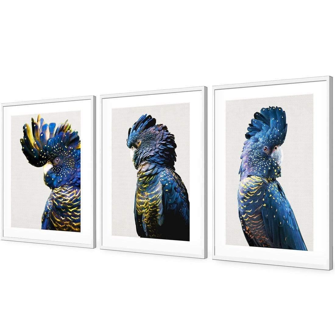 Cockatoos Trio Art Set - Wall Art Designs - SET3_5035_AR_V WAD_AP - 030 - MAT_59x40_S - 2538 - WHT