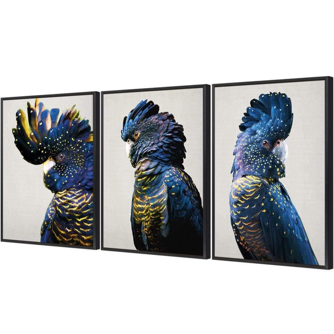 Cockatoos Trio Art Set - Wall Art Designs - SET3_5035_AR_V WAD_CP - MPC - 320 - M - G - L_59x40_S - 1550 - BLK