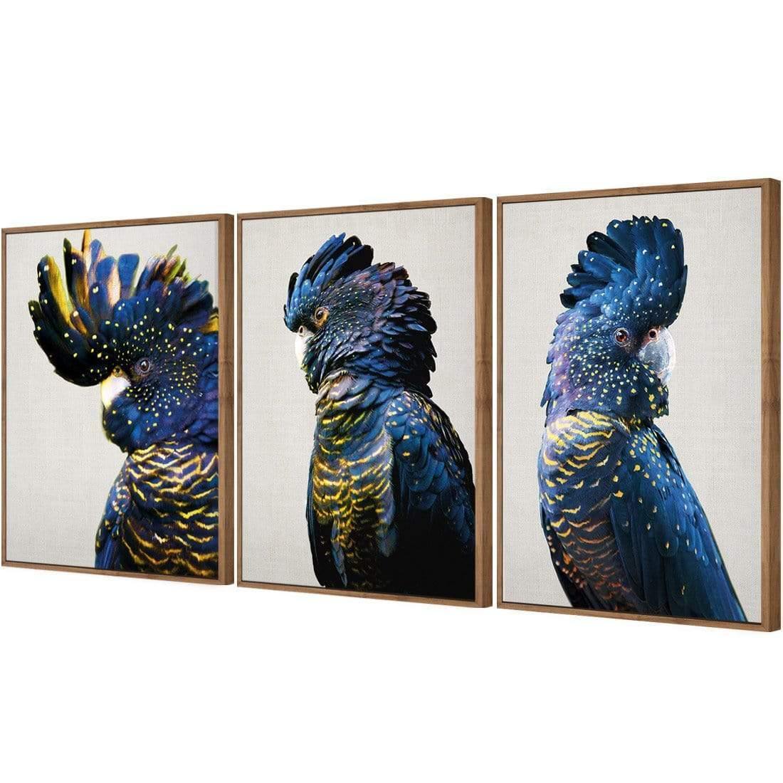 Cockatoos Trio Art Set - Wall Art Designs - SET3_5035_AR_V WAD_CP - MPC - 320 - M - G - L_59x40_S - 1550 - NAT