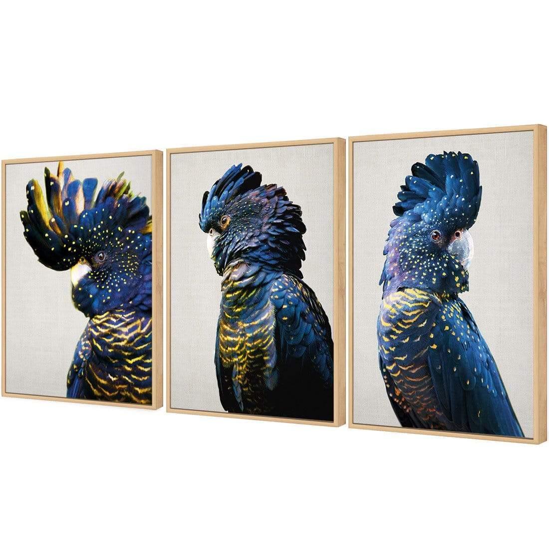 Cockatoos Trio Art Set - Wall Art Designs - SET3_5035_AR_V WAD_CP - MPC - 320 - M - G - L_59x40_S - 1550 - OAK