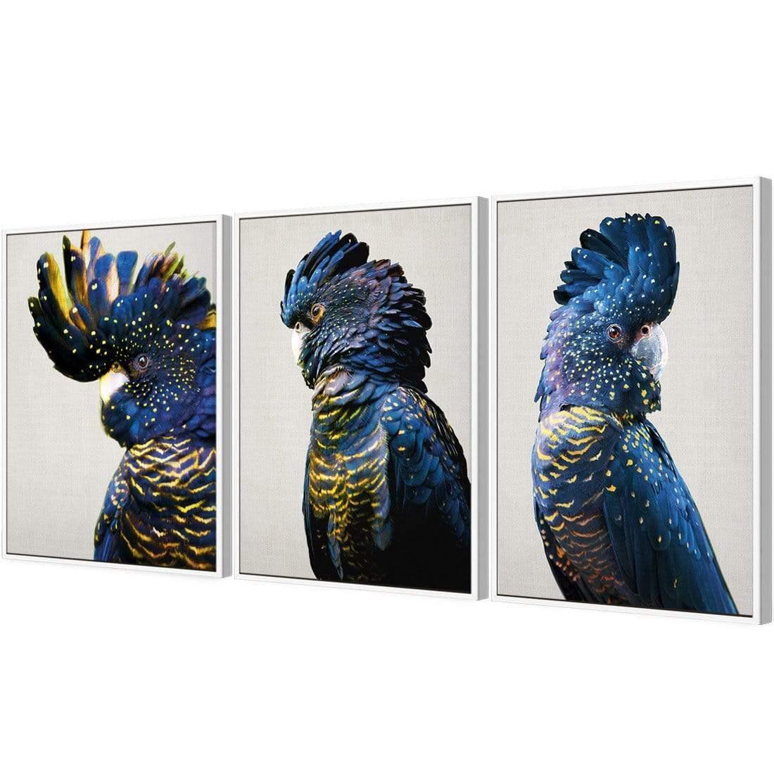 Cockatoos Trio Art Set - Wall Art Designs - SET3_5035_AR_V WAD_CP - MPC - 320 - M - G - L_59x40_S - 1550 - WHT