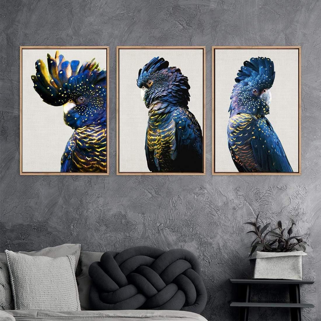 Cockatoos Trio Art Set - Wall Art Designs - SET3_5035_AR_V WAD_CP - MPC - 320 - M - G - L_59x40_NONE