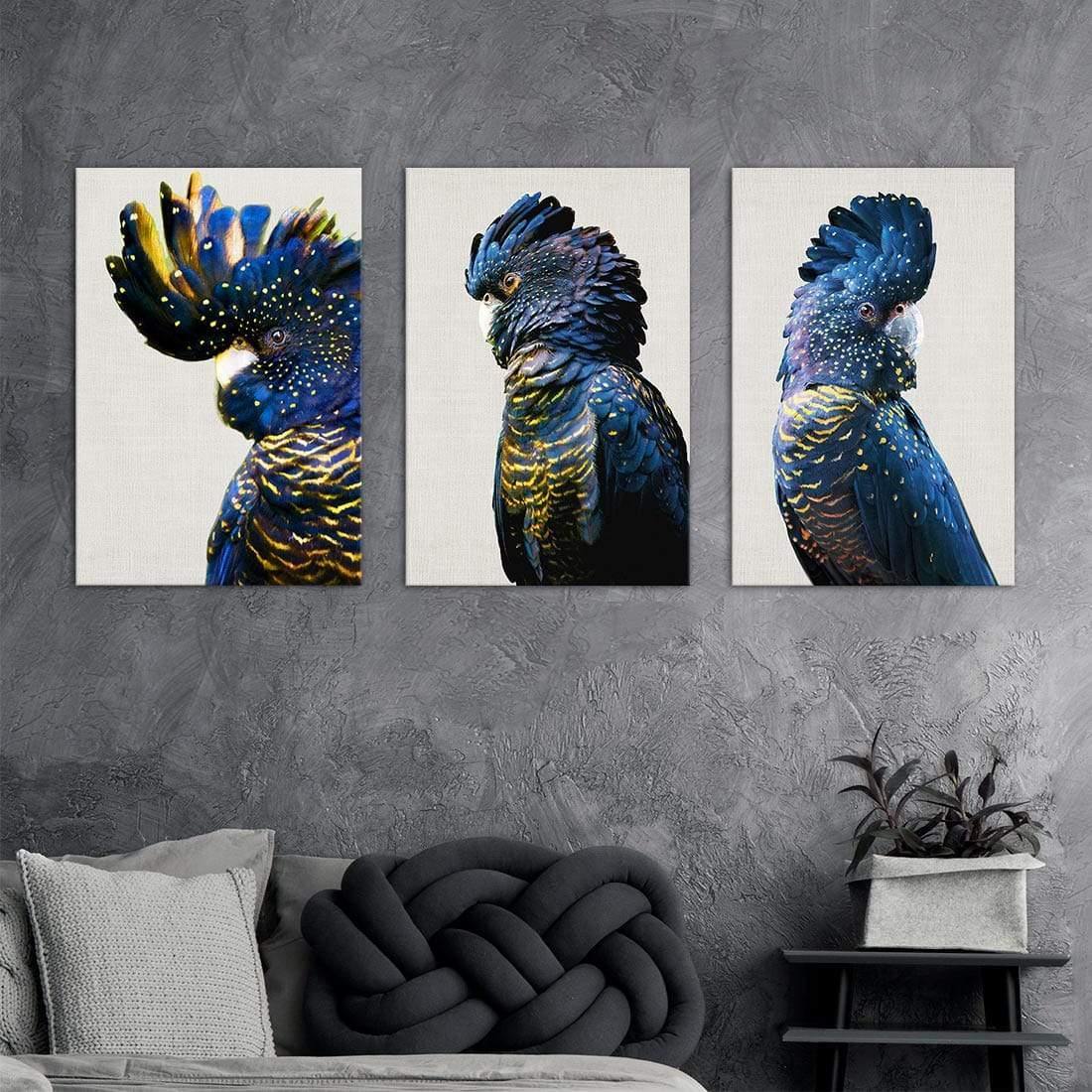 Cockatoos Trio Art Set - Wall Art Designs - SET3_5035_AR_V WAD_CP - MPC - 320 - M - G - L_59x40_NONE