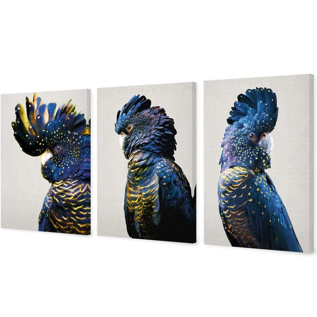 Cockatoos Trio Art Set - Wall Art Designs - SET3_5035_AR_V WAD_CP - MPC - 320 - M - G - L_59x40_NONE