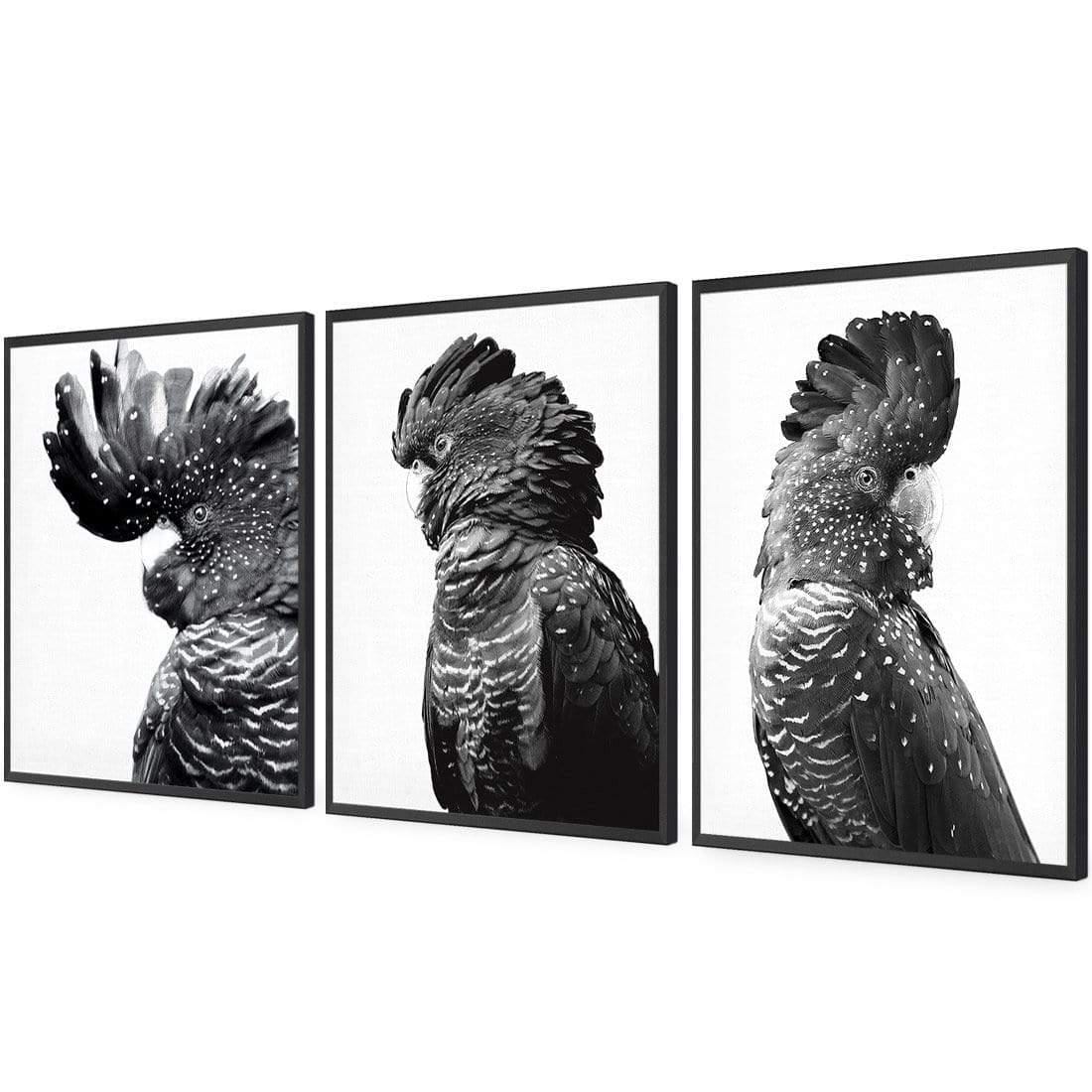 Cockatoos Trio, B&W Art Set | Classic Acrylic | Flat Frame No Border | Black