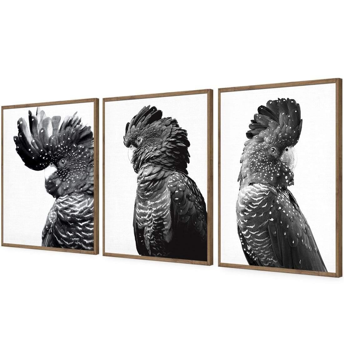 Cockatoos Trio, B&W Art Set | Classic Acrylic | Flat Frame No Border | Natural