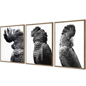Cockatoos Trio, B&W Art Set | Classic Acrylic | Flat Frame No Border | Natural