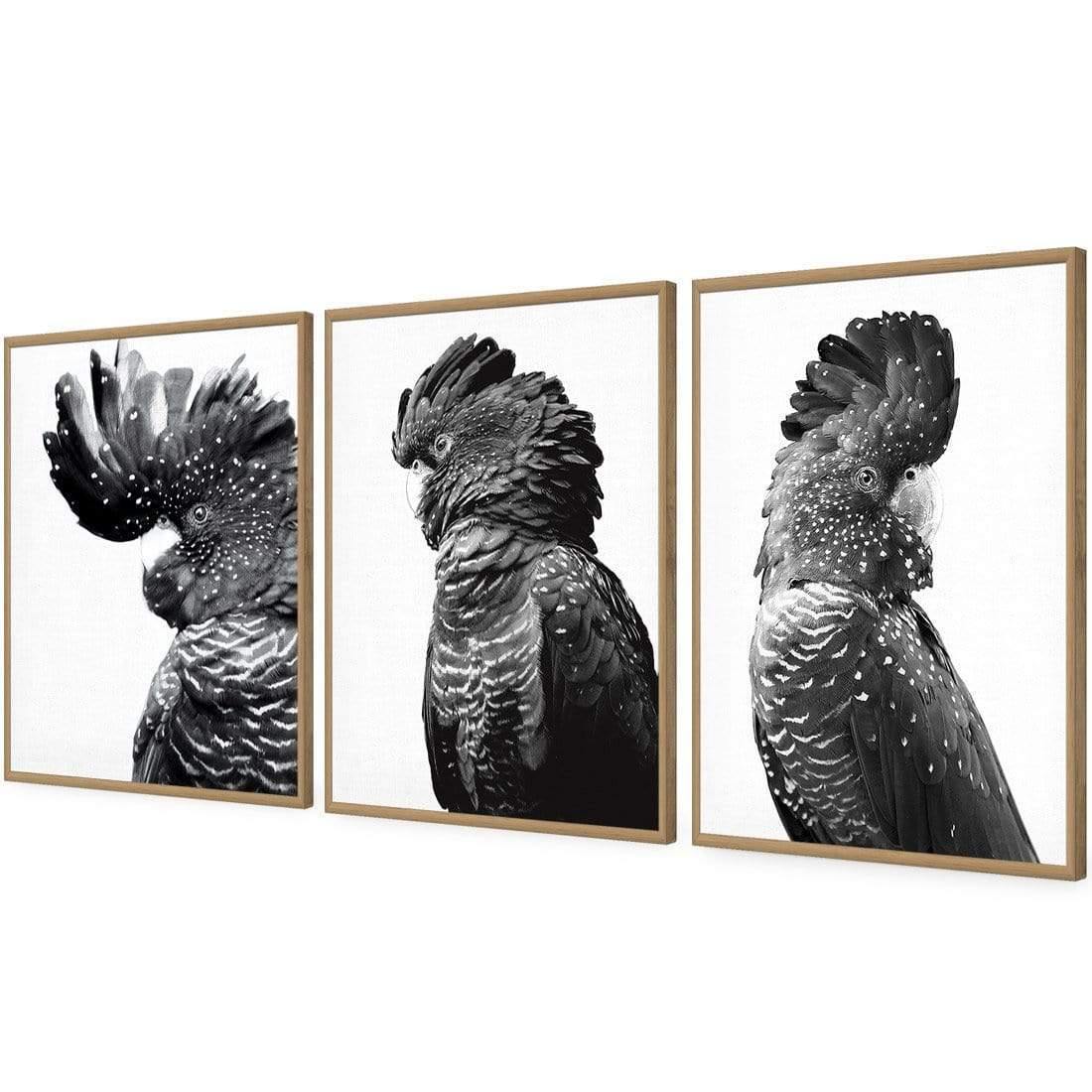 Cockatoos Trio, B&W Art Set | Classic Acrylic | Flat Frame No Border | Oak