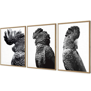 Cockatoos Trio, B&W Art Set | Classic Acrylic | Flat Frame No Border | Oak