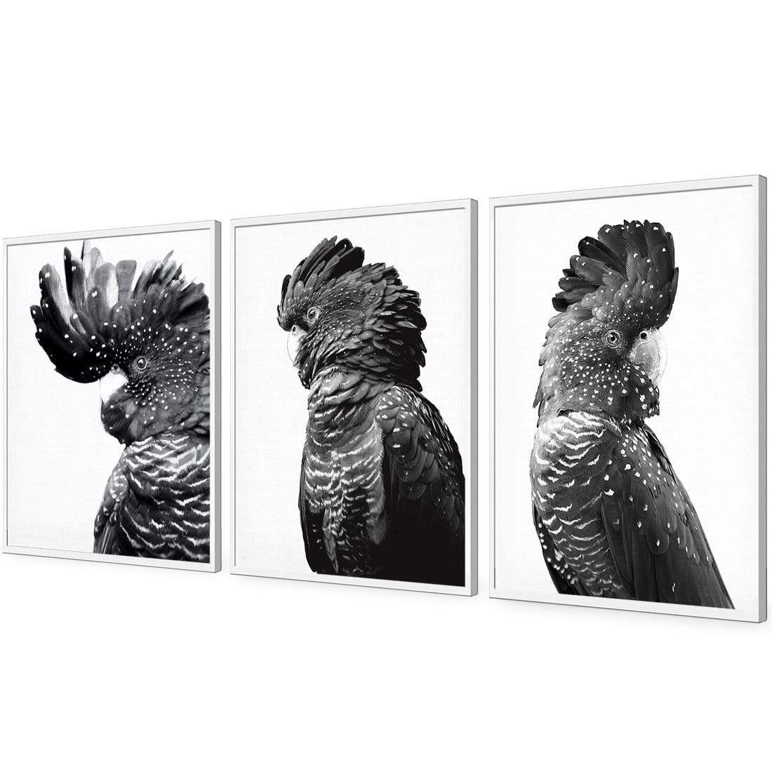 Cockatoos Trio, B&W Art Set | Classic Acrylic | Flat Frame No Border | White