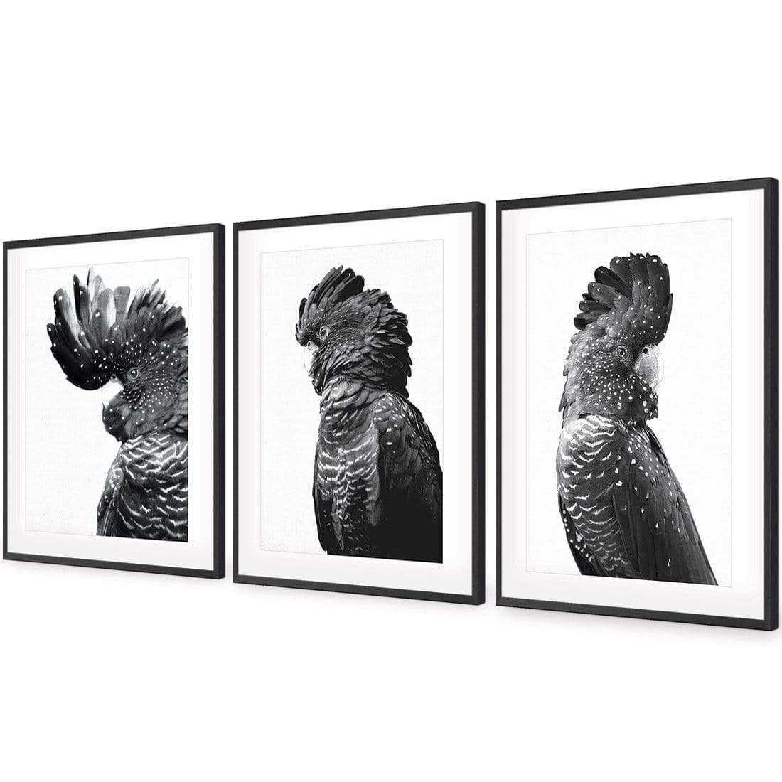 Cockatoos Trio, B&W Art Set - Wall Art Designs - SET3_5035_BR_V WAD_AP - 030 - MAT_59x40_S - 2538 - BLK