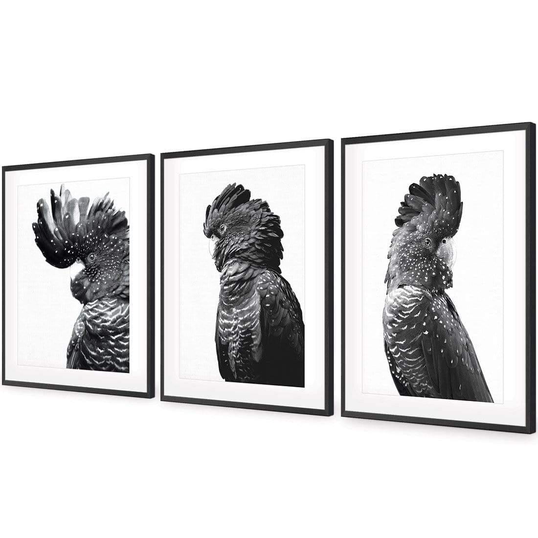 Cockatoos Trio, B&W Art Set | Classic Acrylic | Flat Frame With Border | Black
