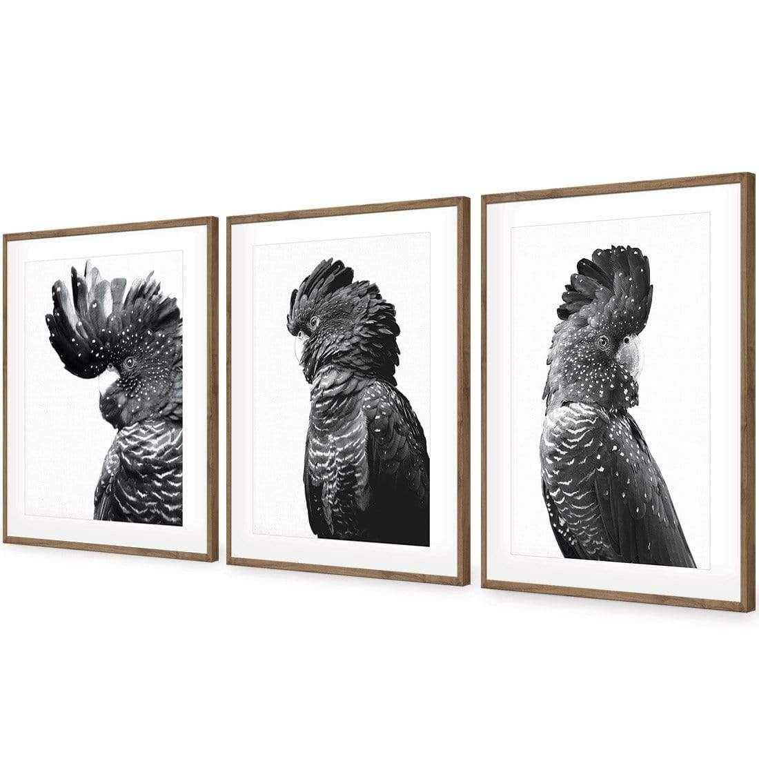Cockatoos Trio, B&W Art Set | Classic Acrylic | Flat Frame With Border | Natural