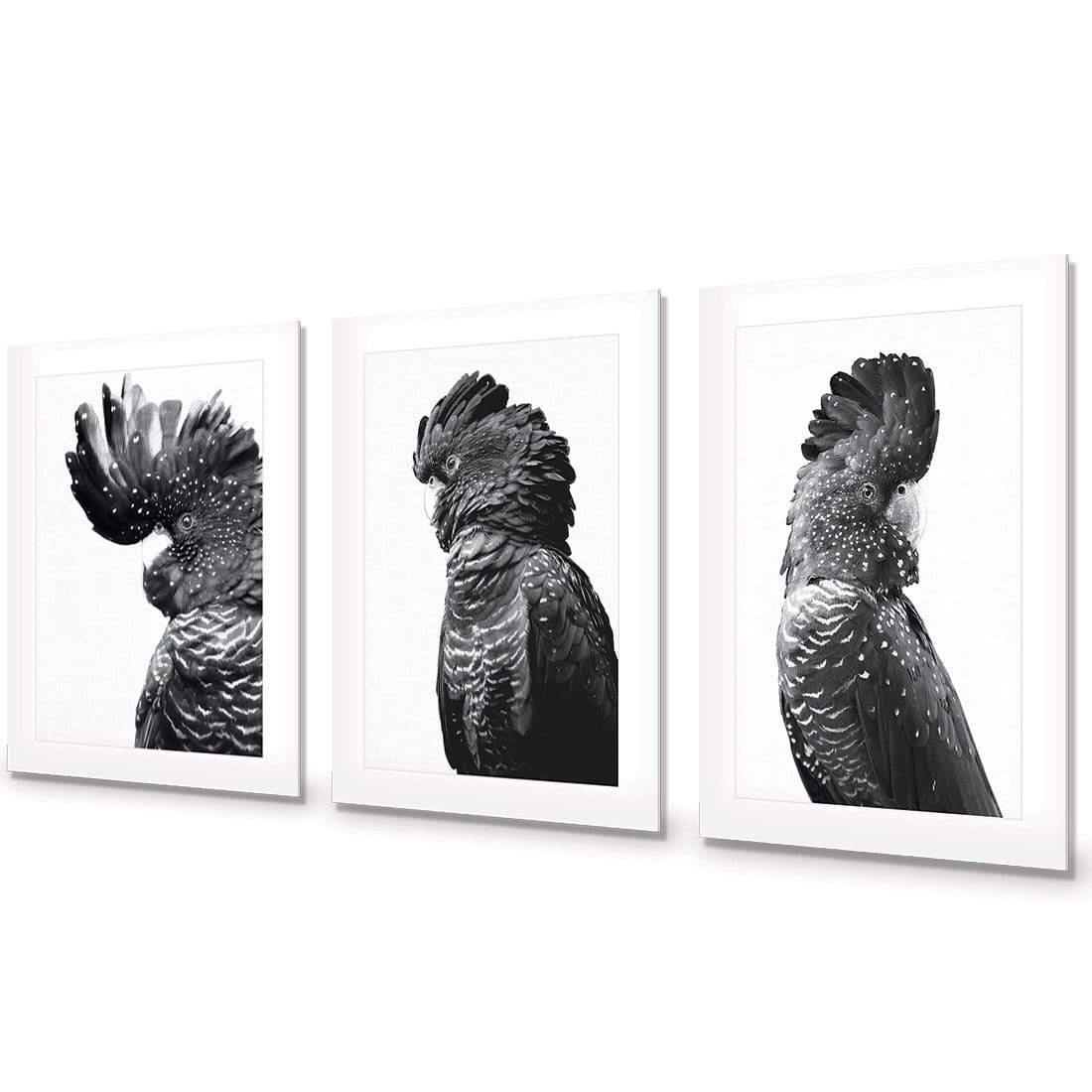 Cockatoos Trio, B&W Art Set | Classic Acrylic | No Frame With Border
