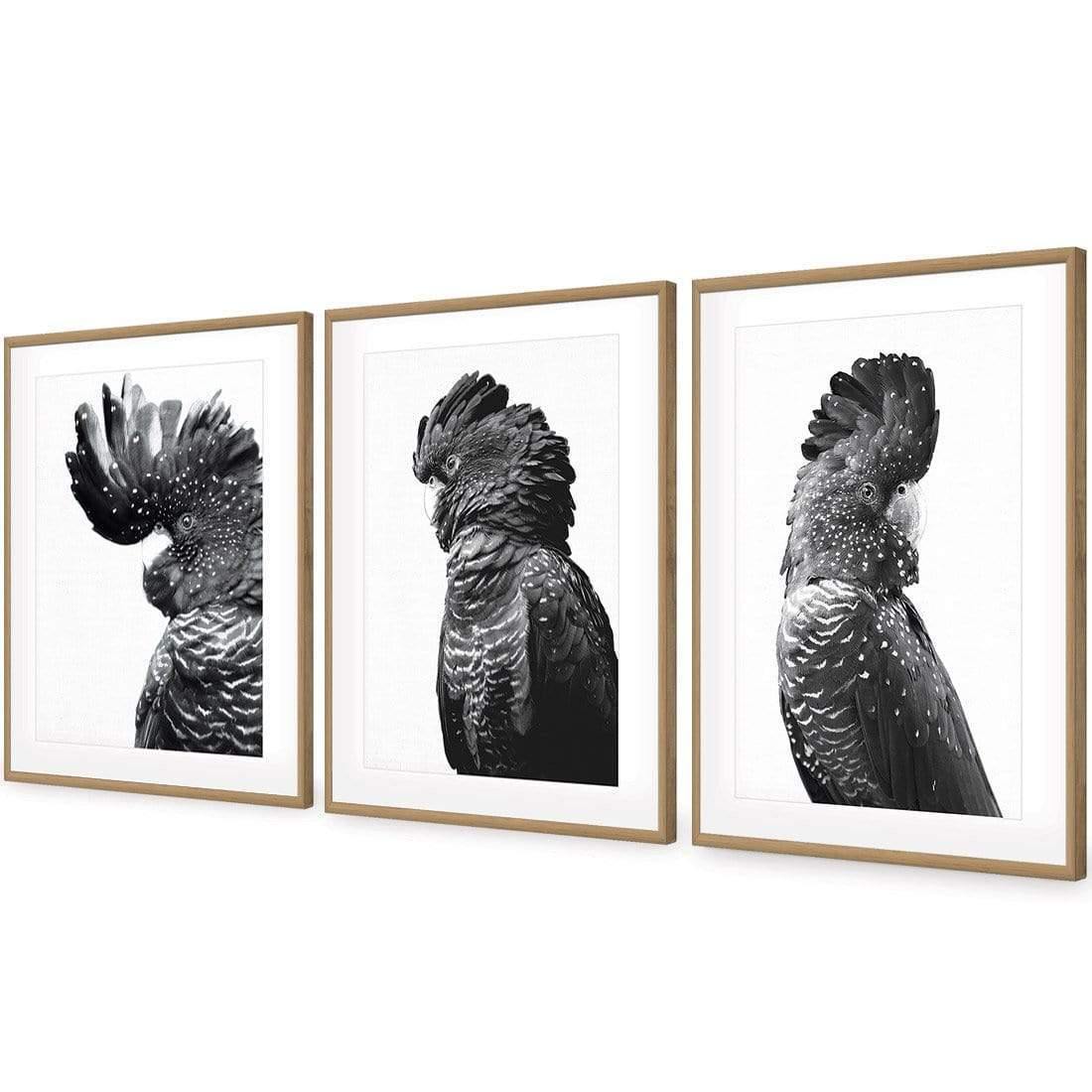 Cockatoos Trio, B&W Art Set | Classic Acrylic | Flat Frame With Border | Oak