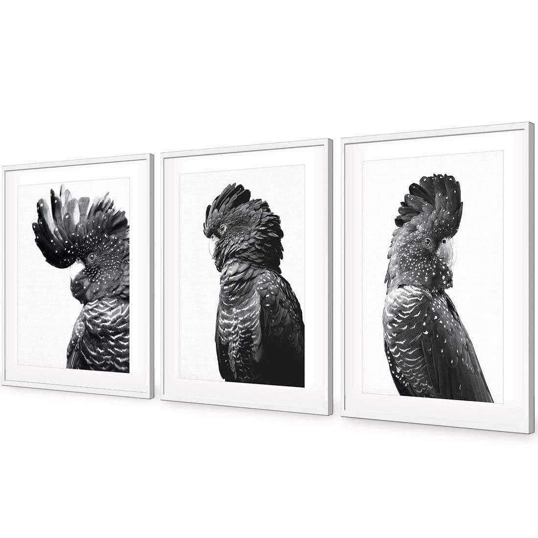 Cockatoos Trio, B&W Art Set - Wall Art Designs - SET3_5035_BR_V WAD_AP - 030 - MAT_59x40_S - 2538 - WHT