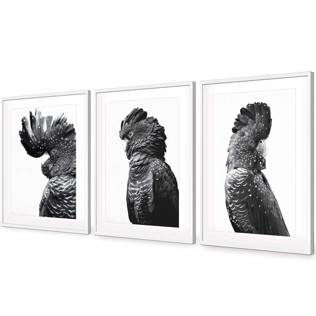 Cockatoos Trio, B&W Art Set | Classic Acrylic | Flat Frame With Border | White