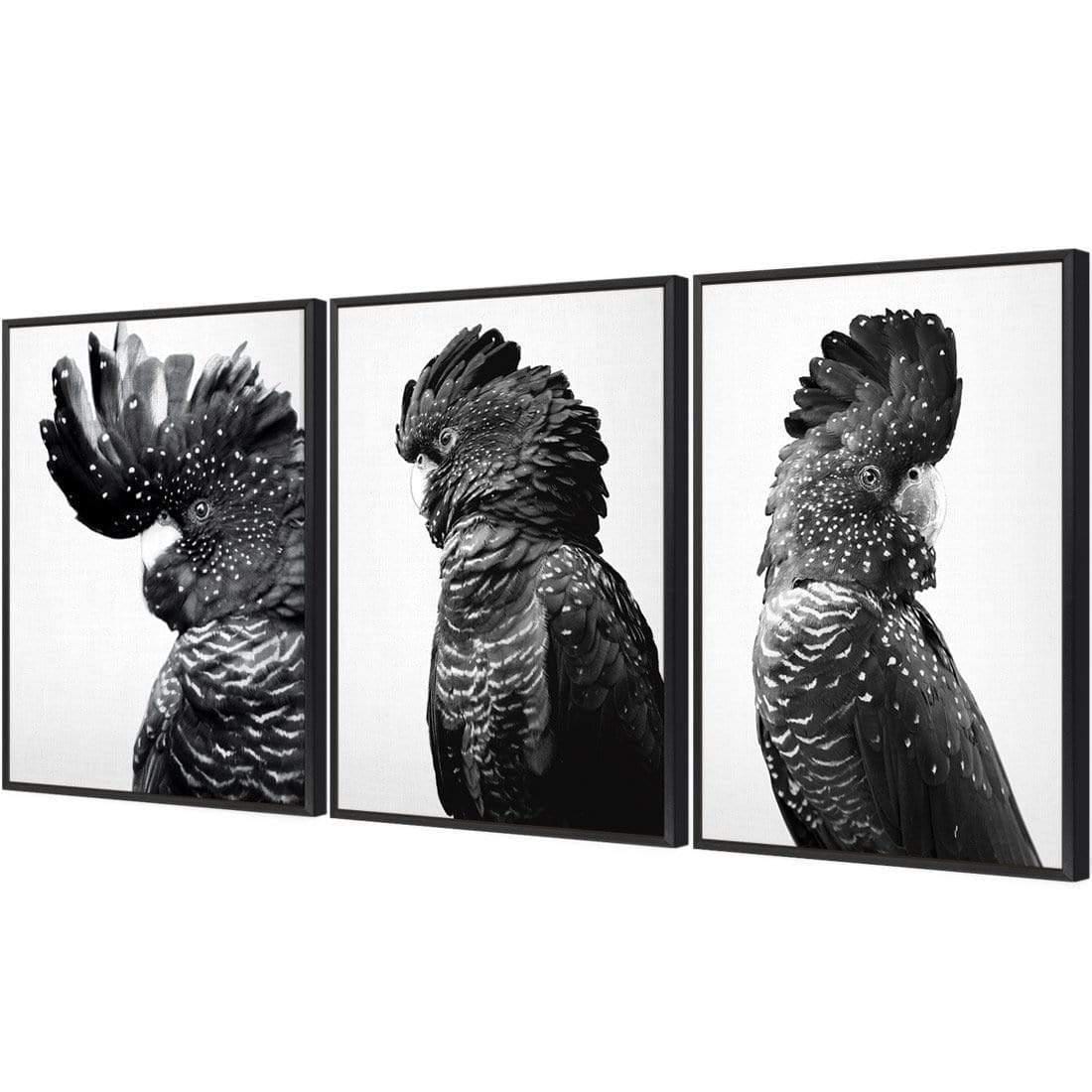 Cockatoos Trio, B&W Art Set | Classic Canvas | Floating Frame | Black
