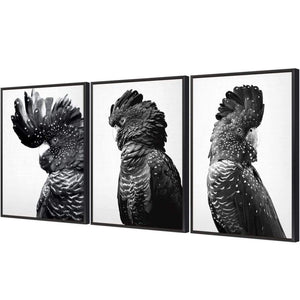 Cockatoos Trio, B&W Art Set | Classic Canvas | Floating Frame | Black