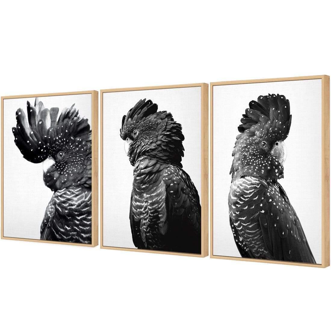 Cockatoos Trio, B&W Art Set | Classic Canvas | Floating Frame | Oak
