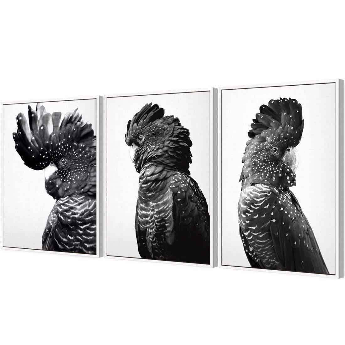 Cockatoos Trio, B&W Art Set | Classic Canvas | Floating Frame | White