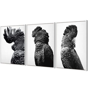 Cockatoos Trio, B&W Art Set | Classic Canvas | Floating Frame | White