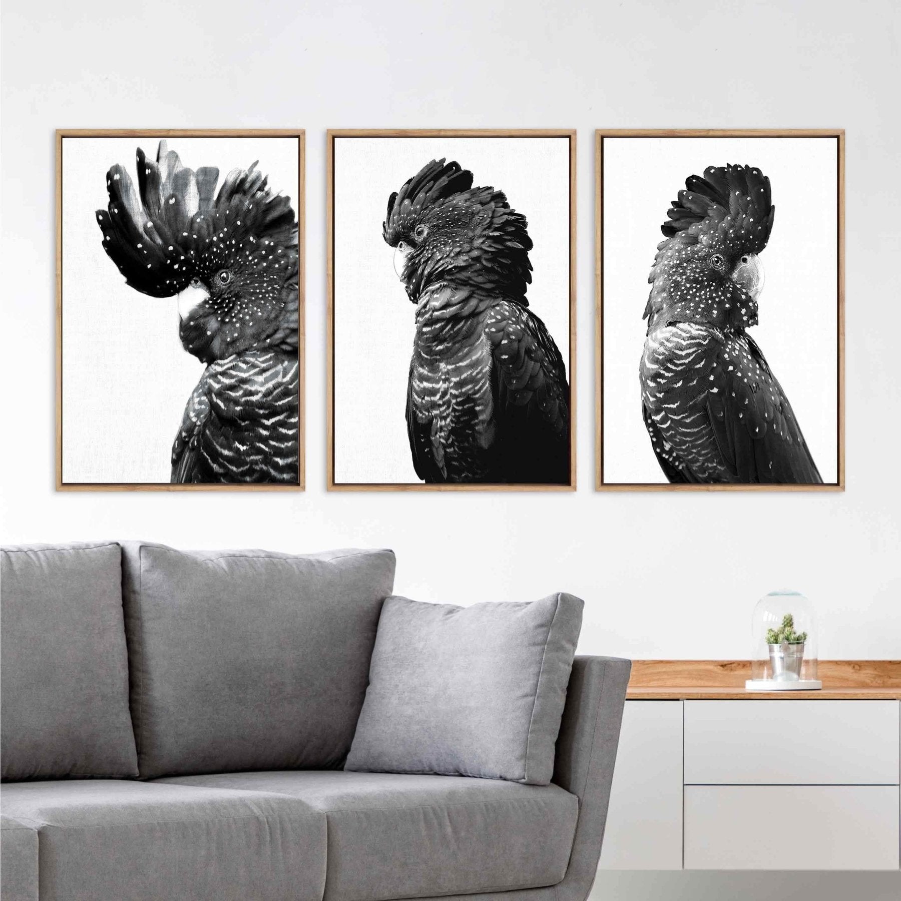 Cockatoos Trio, B&W Art Set - Wall Art Designs - SET3_5035_BR_V WAD_CP - MPC - 320 - M - G - L_59x40_NONE