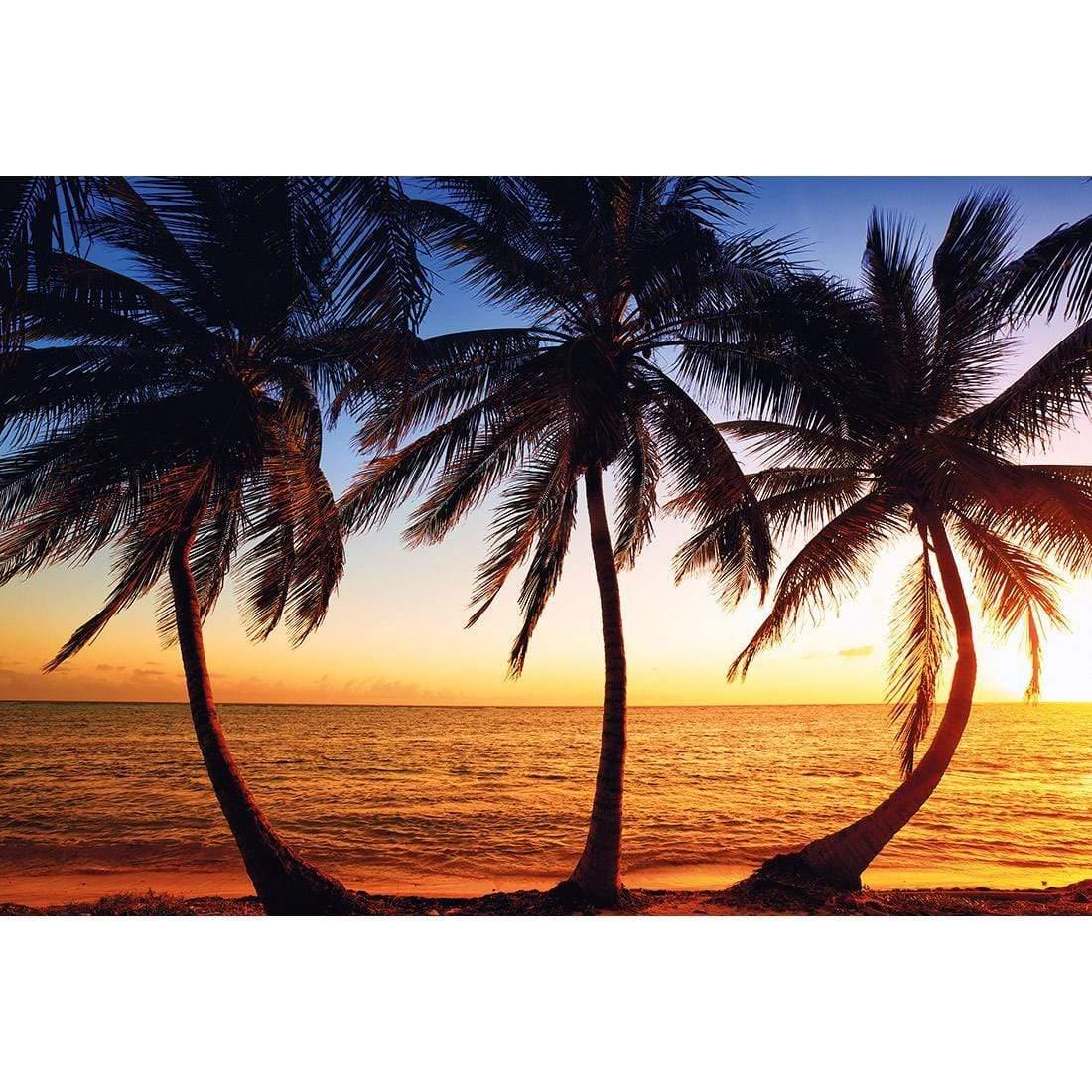 Coconut Palm Paradise - Wall Art Designs - 2883_AR_H WAD_CP - MPY - 260 - M - S - S_45x30_NONE