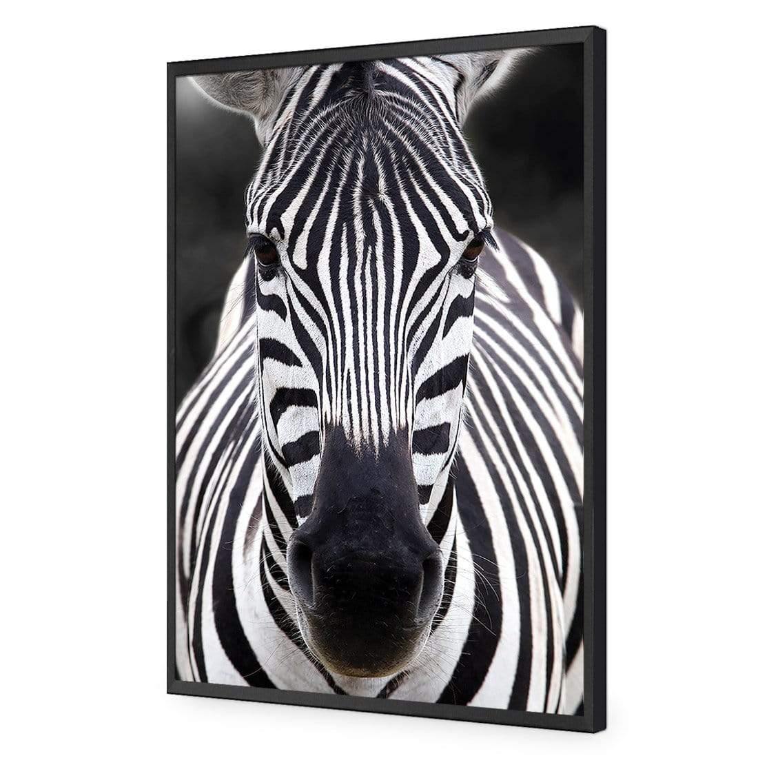 Concerned Zebra - Wall Art Designs - 3170_AR_V WAD_AP - 030 - EDG_45x30_S - 2538 - BLK