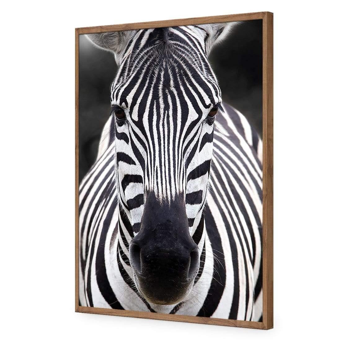 Concerned Zebra - Wall Art Designs - 3170_AR_V WAD_AP - 030 - EDG_45x30_S - 2538 - NAT