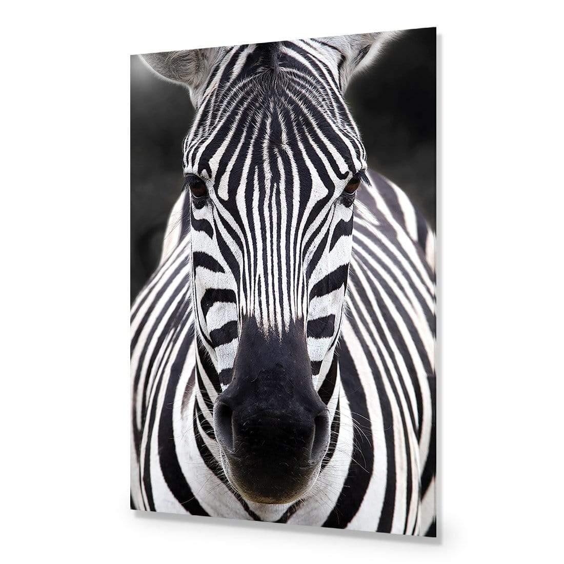 Concerned Zebra - Wall Art Designs - 3170_AR_V WAD_AP - 030 - EDG_45x30_NONE