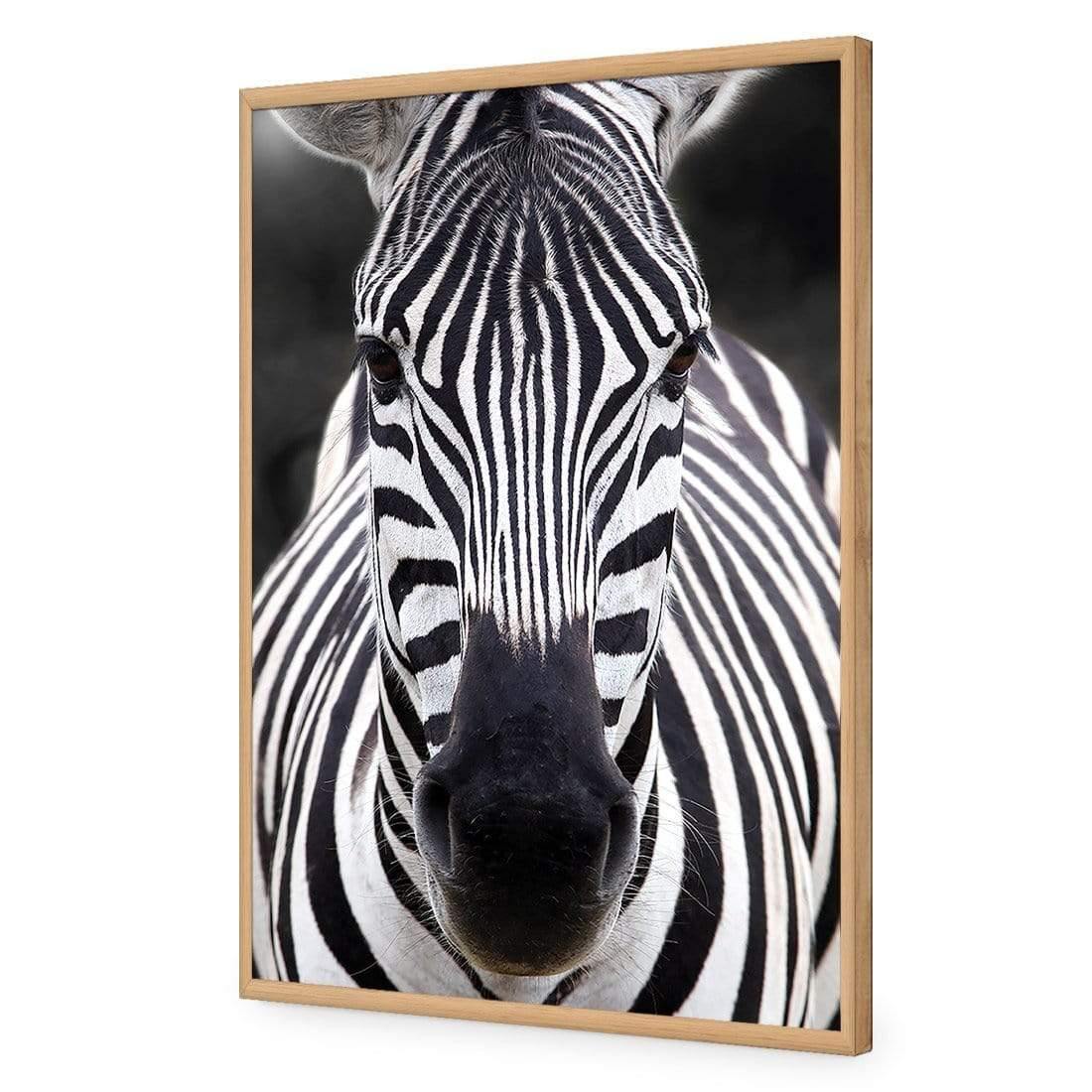 Concerned Zebra - Wall Art Designs - 3170_AR_V WAD_AP - 030 - EDG_45x30_S - 2538 - OAK