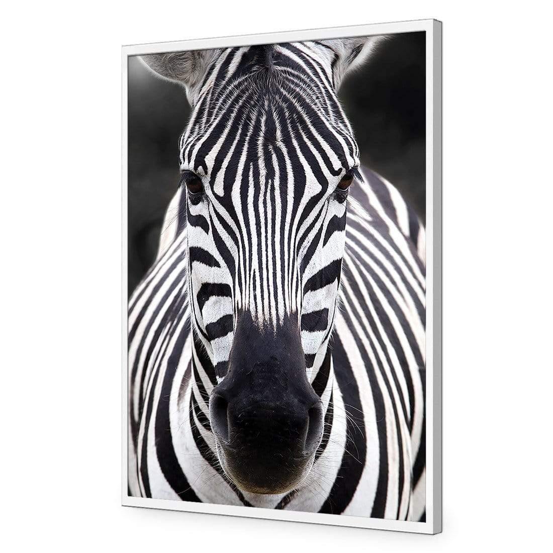 Concerned Zebra - Wall Art Designs - 3170_AR_V WAD_AP - 030 - EDG_45x30_S - 2538 - WHT