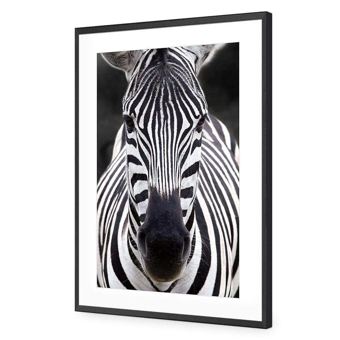 Concerned Zebra - Wall Art Designs - 3170_AR_V WAD_AP - 030 - MAT_45x30_S - 2538 - BLK