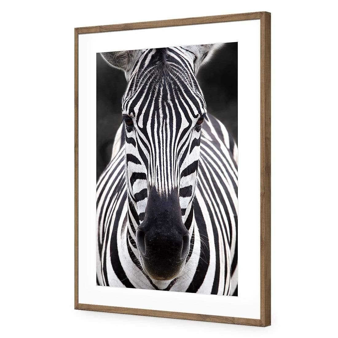 Concerned Zebra - Wall Art Designs - 3170_AR_V WAD_AP - 030 - MAT_45x30_S - 2538 - NAT