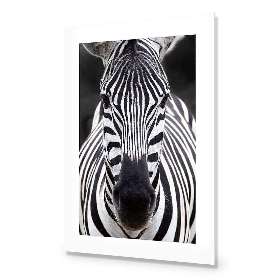 Concerned Zebra - Wall Art Designs - 3170_AR_V WAD_AP - 030 - MAT_45x30_NONE