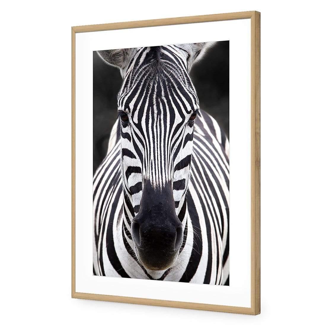 Concerned Zebra - Wall Art Designs - 3170_AR_V WAD_AP - 030 - MAT_45x30_S - 2538 - OAK