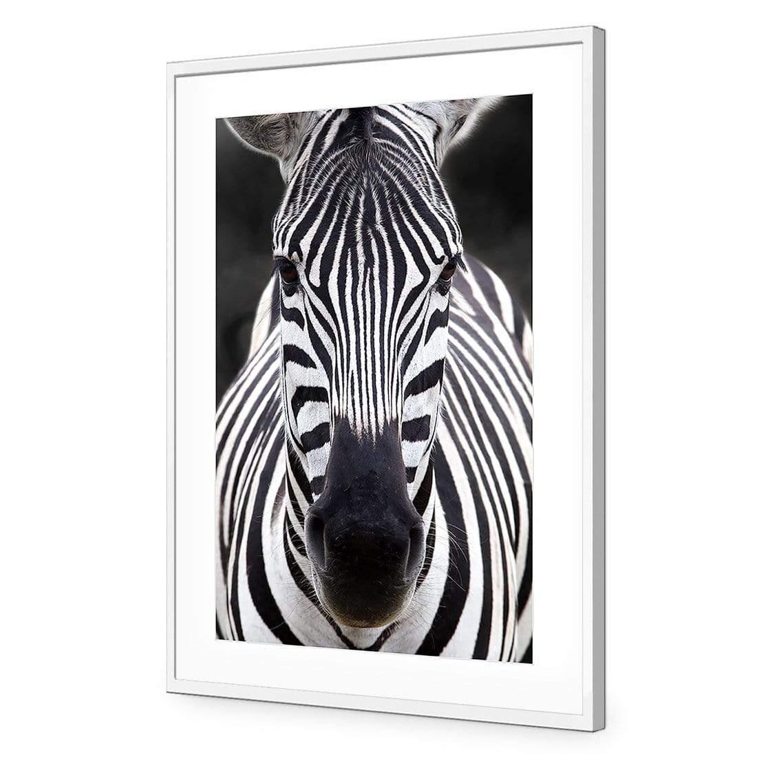 Concerned Zebra - Wall Art Designs - 3170_AR_V WAD_AP - 030 - MAT_45x30_S - 2538 - WHT