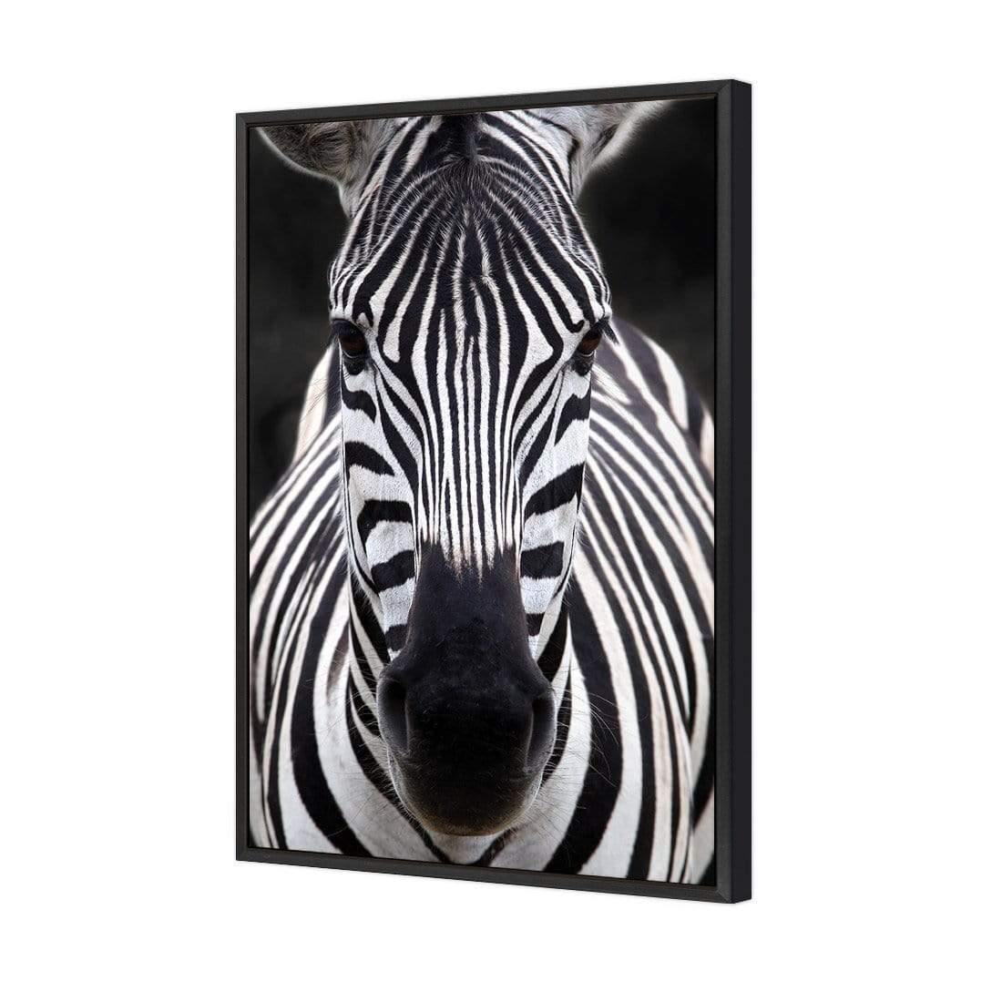 Concerned Zebra - Wall Art Designs - 3170_AR_V WAD_CP - MPY - 260 - M - S - S_45x30_S - 1550 - BLK