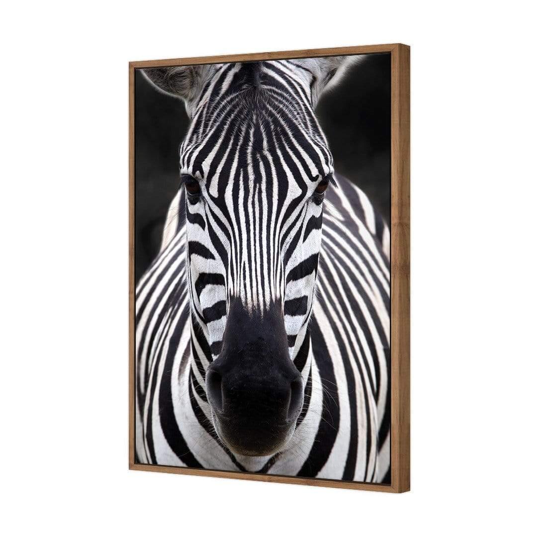 Concerned Zebra - Wall Art Designs - 3170_AR_V WAD_CP - MPY - 260 - M - S - S_45x30_S - 1550 - NAT