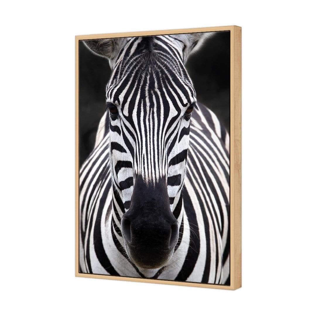 Concerned Zebra - Wall Art Designs - 3170_AR_V WAD_CP - MPY - 260 - M - S - S_45x30_S - 1550 - OAK