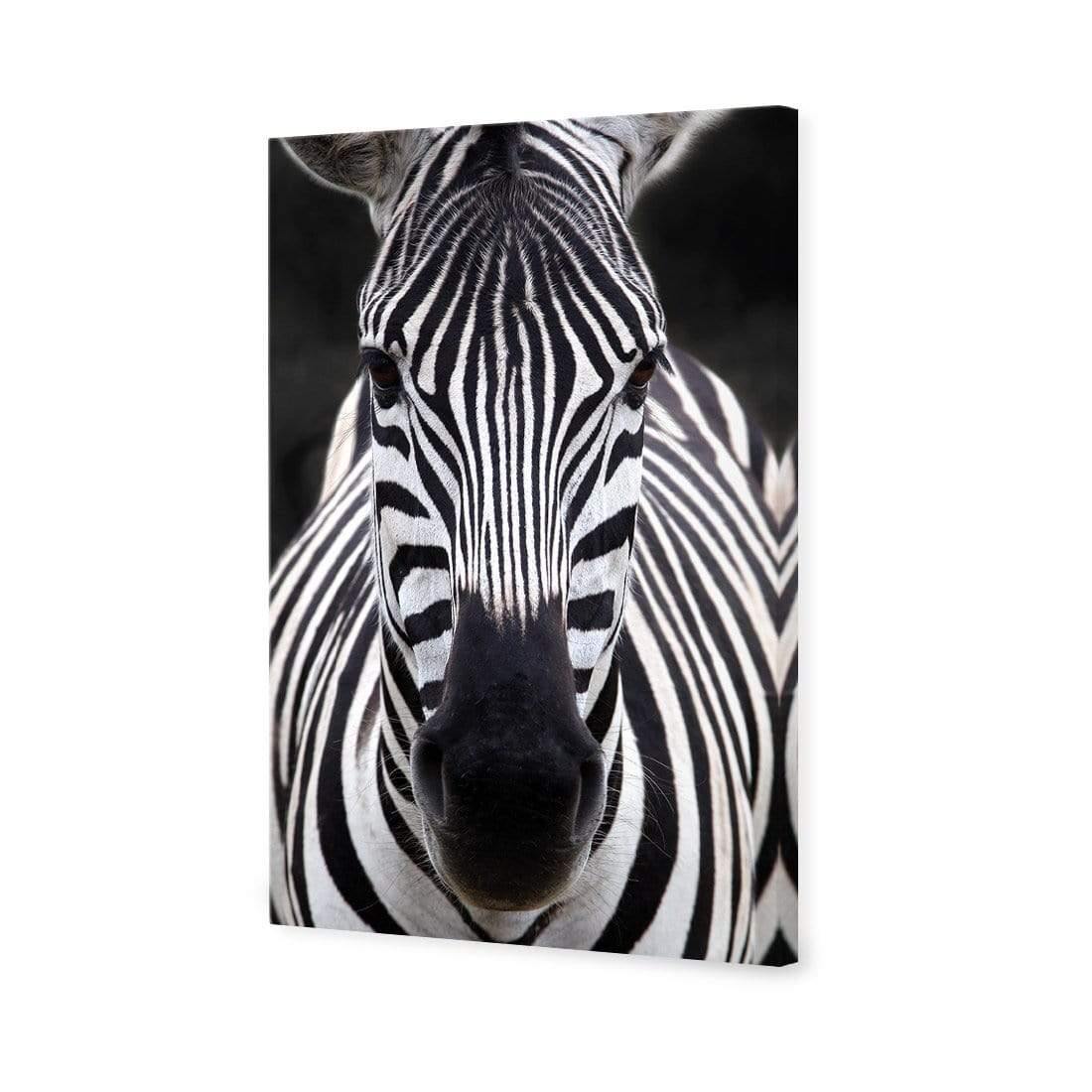 Concerned Zebra - Wall Art Designs - 3170_AR_V WAD_CP - MPY - 260 - M - S - S_45x30_NONE