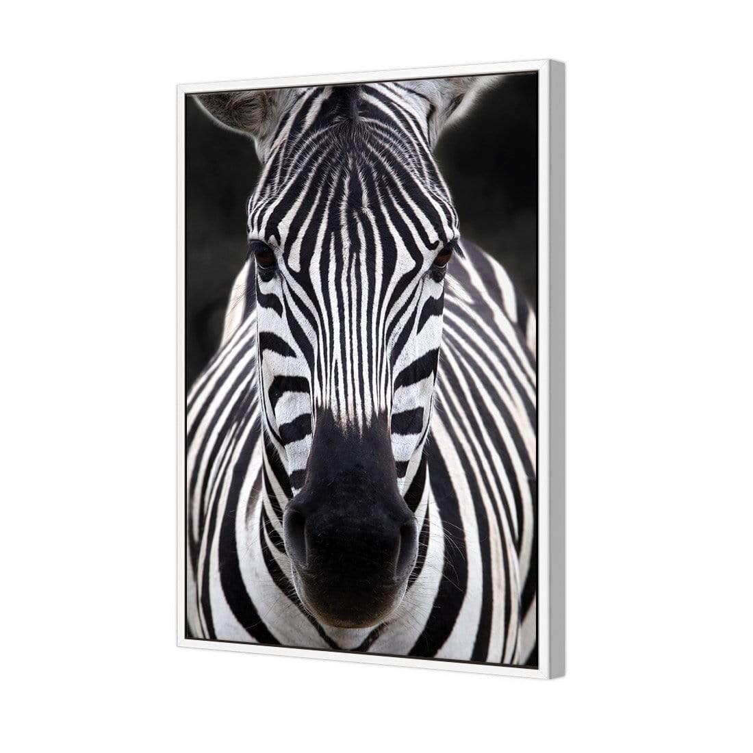 Concerned Zebra - Wall Art Designs - 3170_AR_V WAD_CP - MPY - 260 - M - S - S_45x30_S - 1550 - WHT