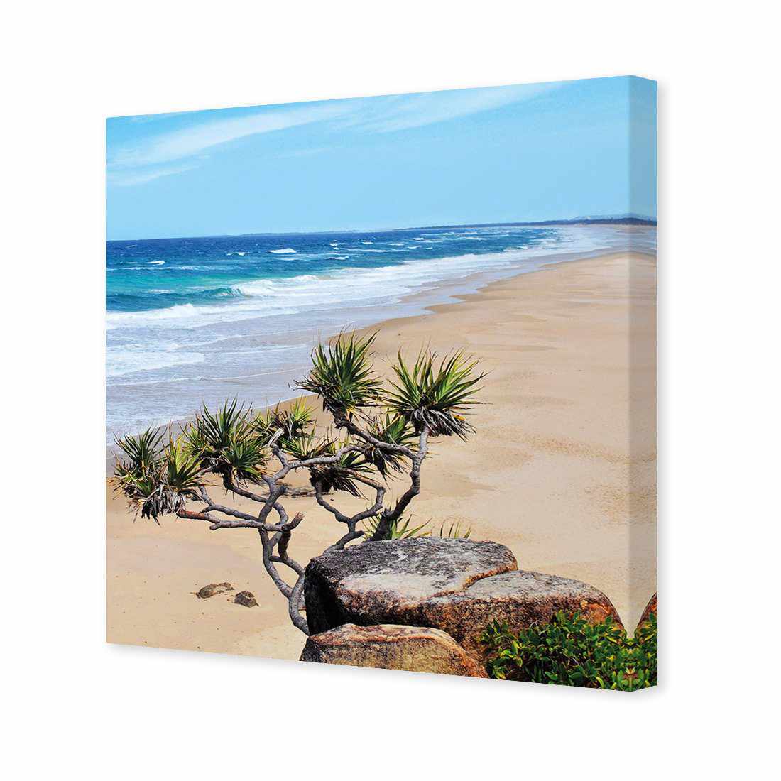 Coolum Beach, Square | Classic Canvas | No Frame | Stretched Canvas